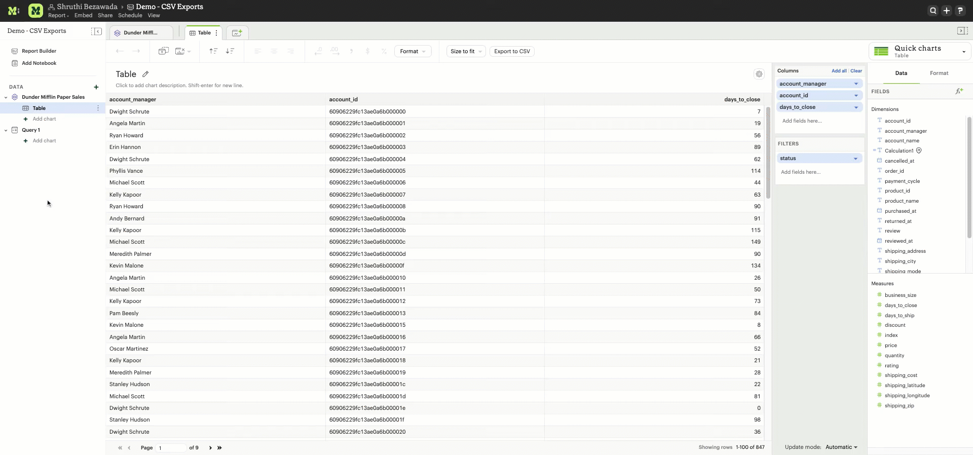 Export CSV Report View