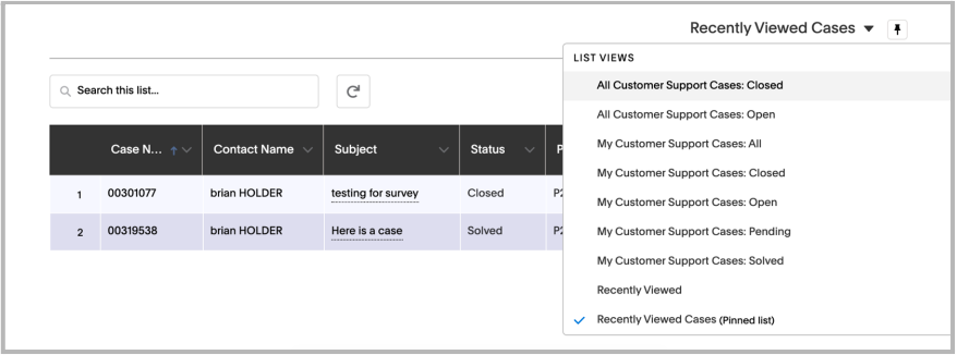 Pin a specific view of support cases